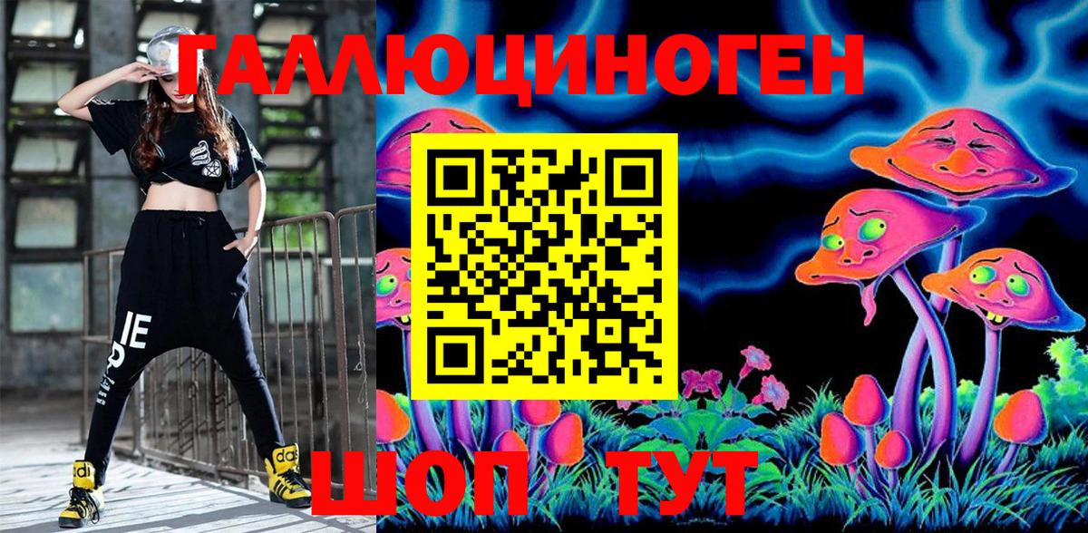 Сунжа  Галлюциногенные грибы прущие грибы  Вход с VPN  Псилоцибиновые грибы ЛСД 